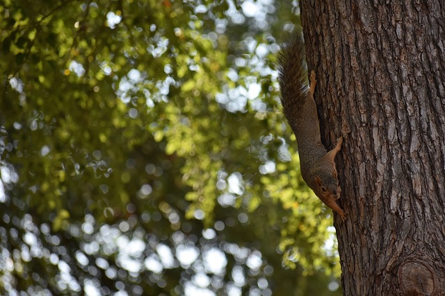 女生在校内打篮球技法惊人，男同学现场沸腾被实力圈粉